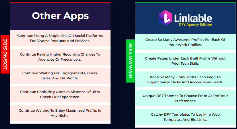 Linkable-DFY-Agency-Review-Winner-Losers