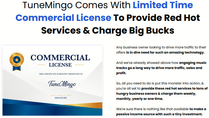 TuneMingo-Review-Commercial-License