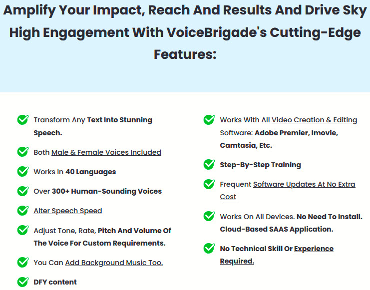 VoiceBrigade-Review-Features