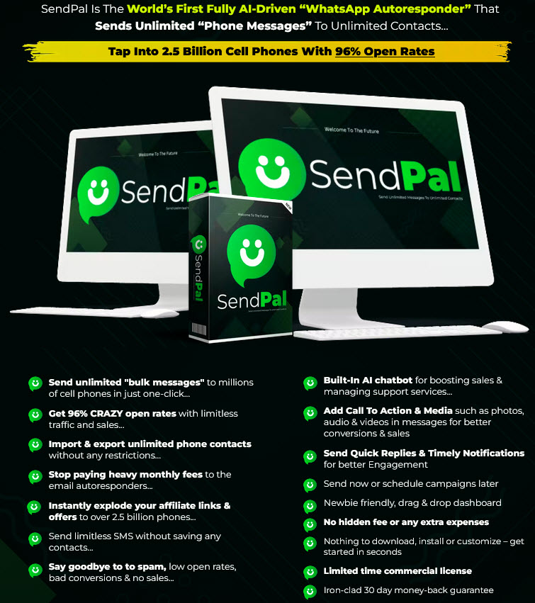 SendPal-Review-Introduction